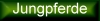 Vorbereiten und Anreiten von Jungpferden