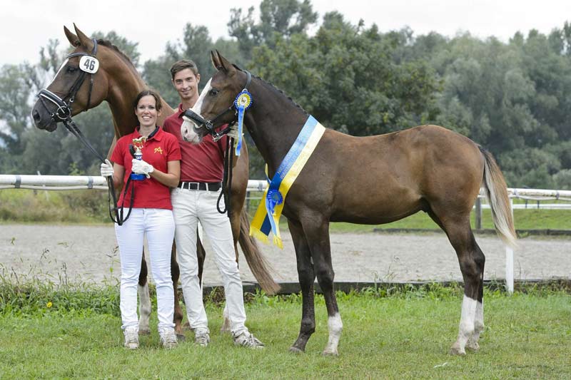 Dante&acute;s Chreek